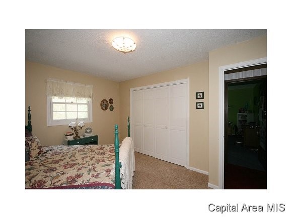 2717 Interlacken Drive Springfield, IL 62704 - Photo 17 of 24 Gallery Image 17