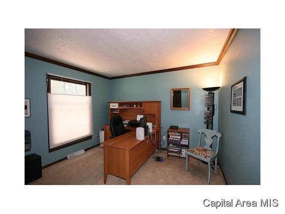 2717 Interlacken Drive Springfield, IL 62704 - Photo 19 of 24 Gallery Image 19