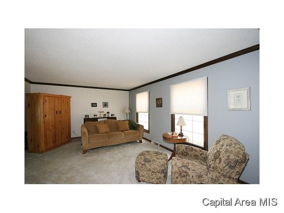 2717 Interlacken Drive Springfield, IL 62704 - Photo 9 of 24 Gallery Image 9