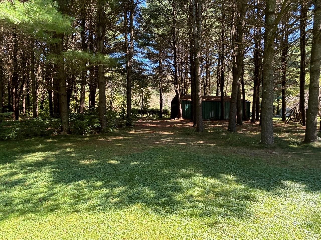 998 Dutcher Road Gladwin, MI 48624 - Photo 34 of 58