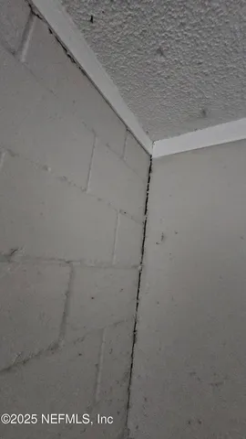 $100,000 | 1545 Ibis Drive, Orange Park, FL 32065