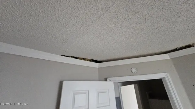 $100,000 | 1545 Ibis Drive, Orange Park, FL 32065