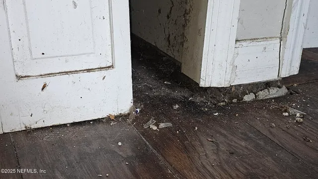 $100,000 | 1545 Ibis Drive, Orange Park, FL 32065