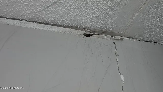 $100,000 | 1545 Ibis Drive, Orange Park, FL 32065