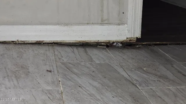 $100,000 | 1545 Ibis Drive, Orange Park, FL 32065