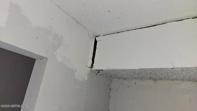 $100,000 | 1545 Ibis Drive, Orange Park, FL 32065