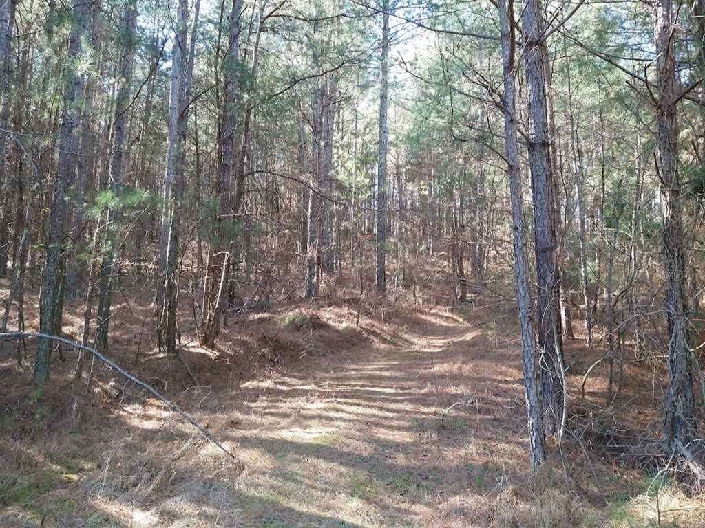 0 Old Morris Road Rocky Face, GA 30740 - Photo 14 of 18 Gallery Image 14