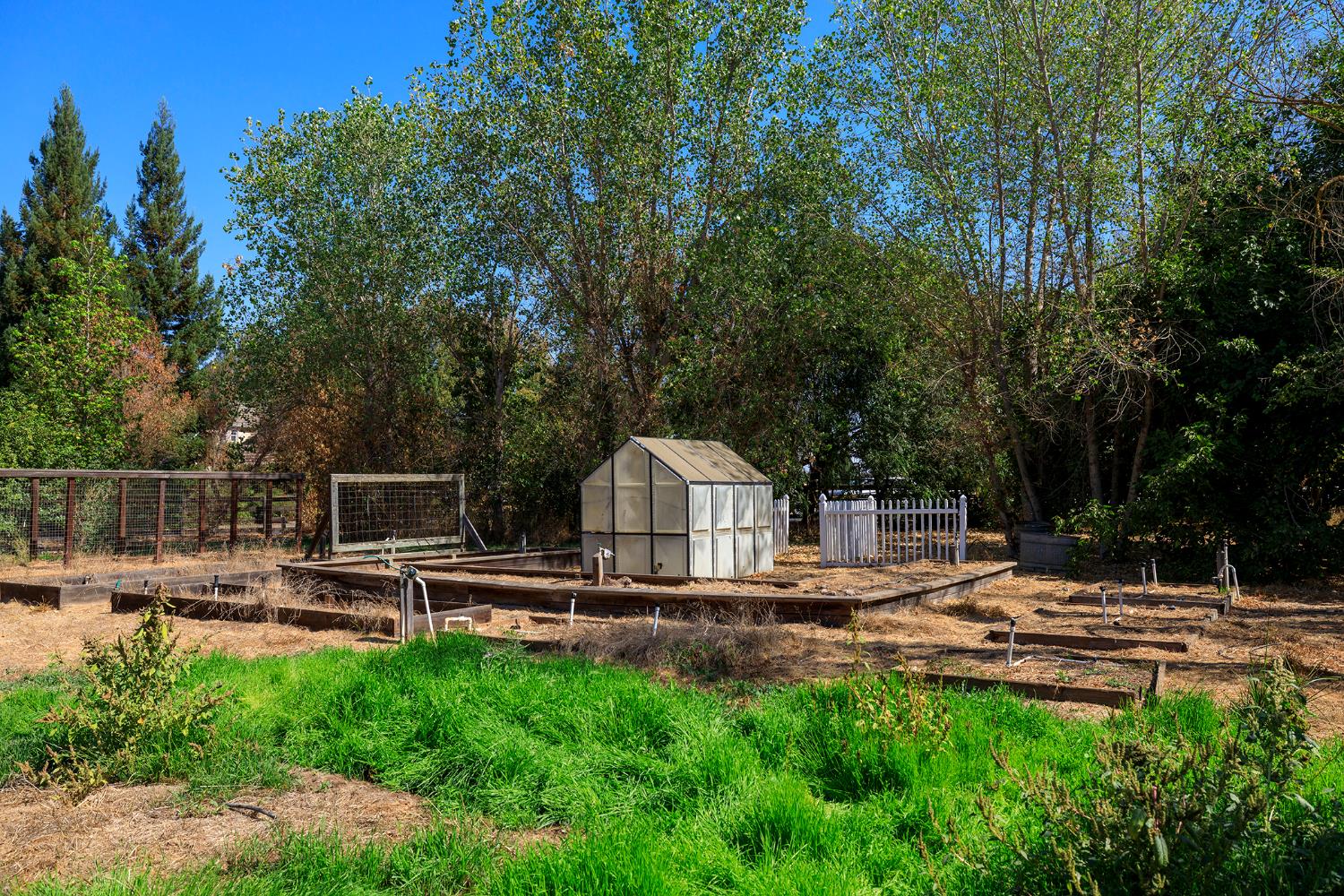 477 North Hewitt Road Linden, CA 95236 - Photo 44 of 50 Gallery Image 44