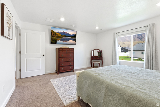 1209 Red Cliff Drive Santaquin, UT 84655 - Photo 16 of 38