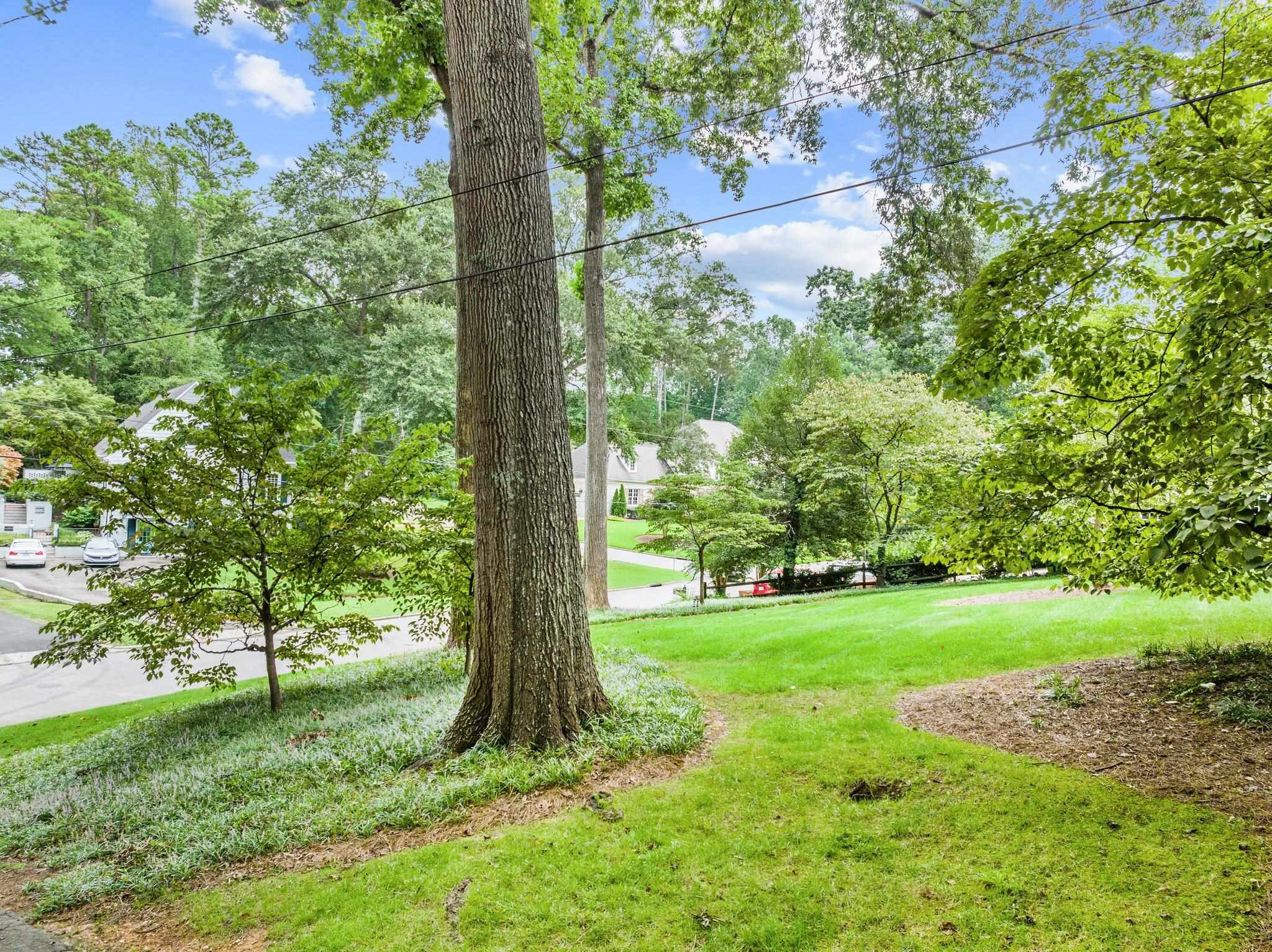 3207 Landor Road Raleigh, NC 27609 - Photo 7 of 22 Mature Trees