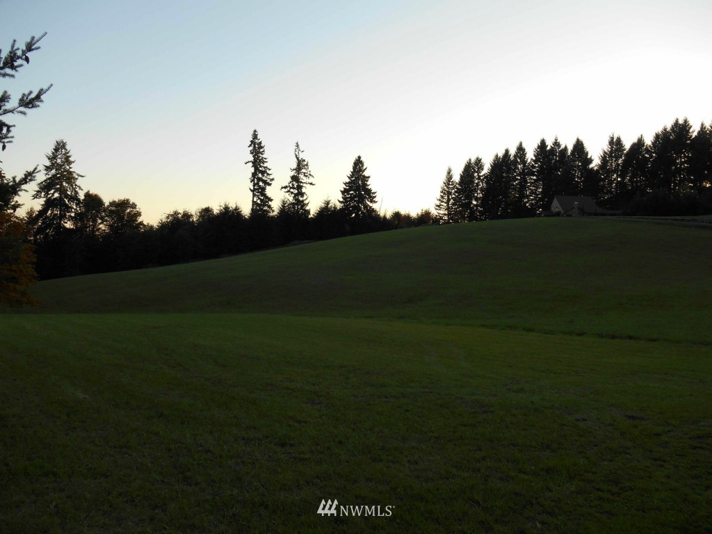 901 Butte Hill Road Woodland, WA 98674 - Photo 1 of 1 Gallery Image 1