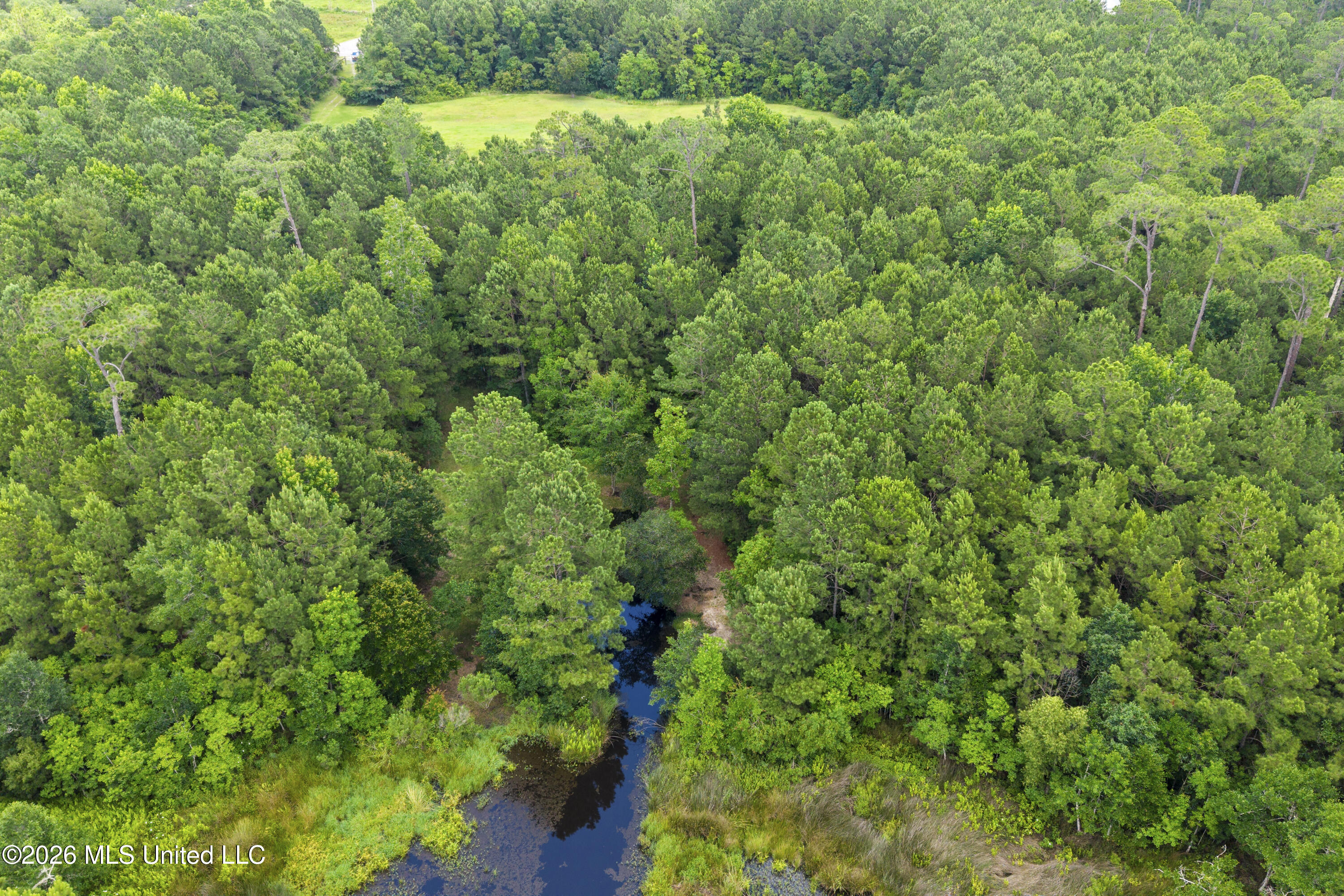 1441 Blue Meadow Road Bay St. Louis, MS 39520 - Photo 23 of 29 00021