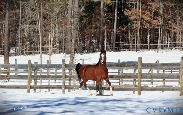 $390,000 | 3151 Benchmark Trail, Amelia Court House, VA 23002