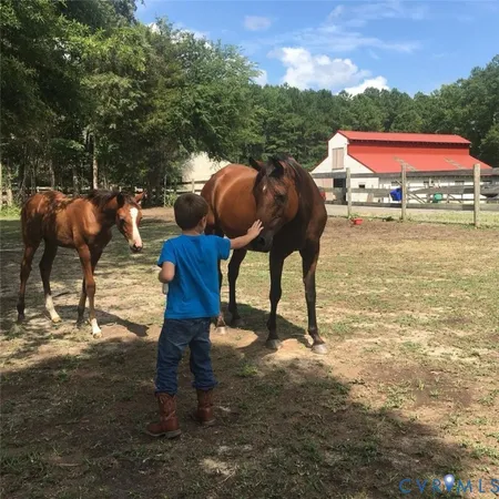 $390,000 | 3151 Benchmark Trail, Amelia Court House, VA 23002