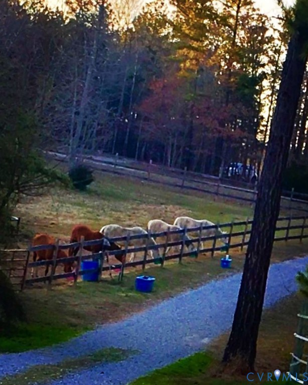 3151 Benchmark Trail Amelia Court House, VA 23002 - Photo 3 of 50 a view of swimming pool with outdoor seating