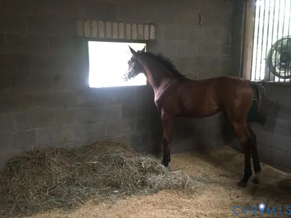 $390,000 | 3151 Benchmark Trail, Amelia Court House, VA 23002