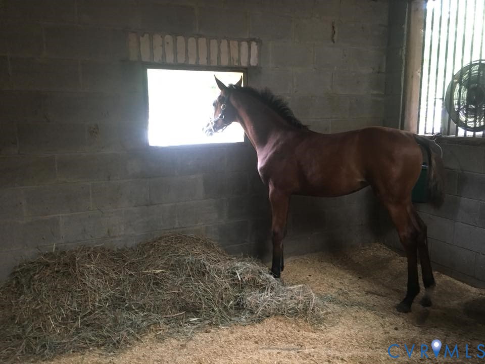 3151 Benchmark Trail Amelia Court House, VA 23002 - Photo 35 of 50 a close view of a sink in a bathroom