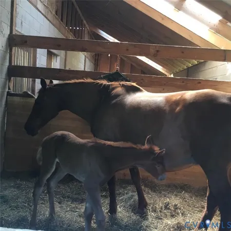 $390,000 | 3151 Benchmark Trail, Amelia Court House, VA 23002