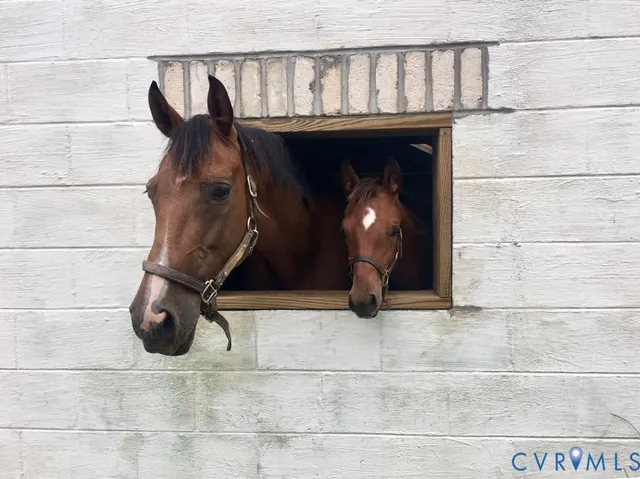 a view of a yard in front of the house