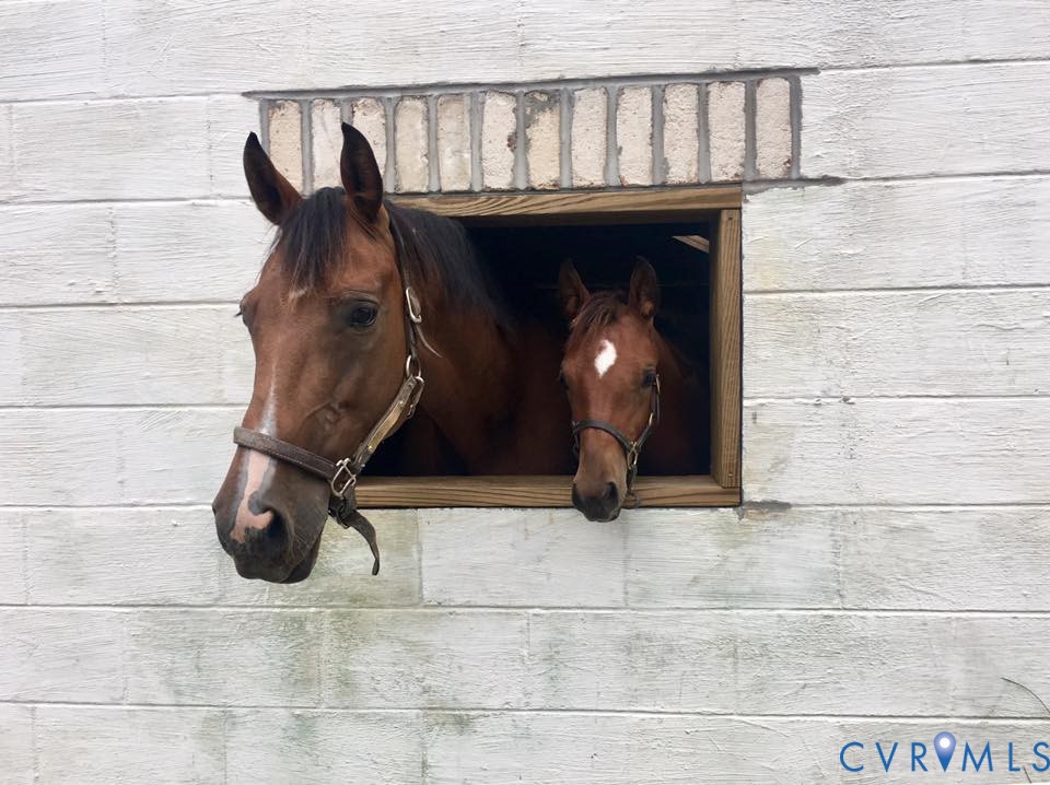3151 Benchmark Trail Amelia Court House, VA 23002 - Photo 38 of 50 a close view of a fireplace in the room