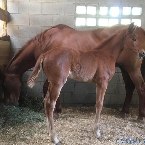 a view of park with wooden fence