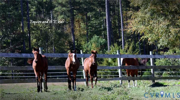 $390,000 | 3151 Benchmark Trail, Amelia Court House, VA 23002