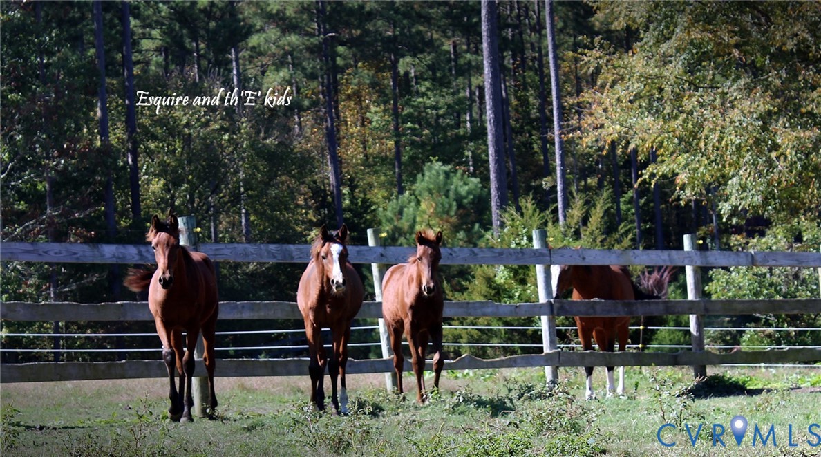 3151 Benchmark Trail Amelia Court House, VA 23002 - Photo 4 of 50