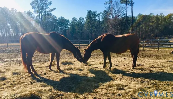 $390,000 | 3151 Benchmark Trail, Amelia Court House, VA 23002