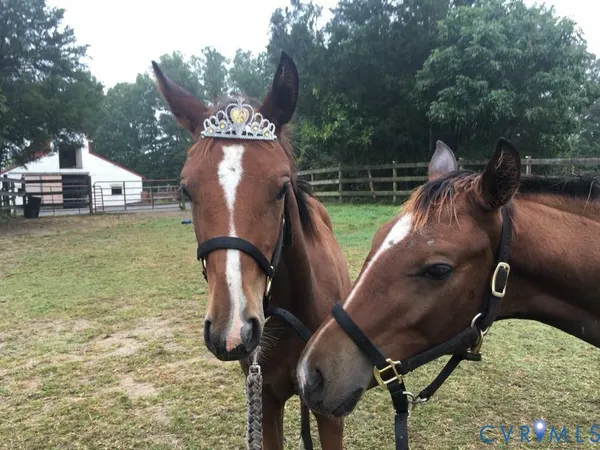 $390,000 | 3151 Benchmark Trail, Amelia Court House, VA 23002