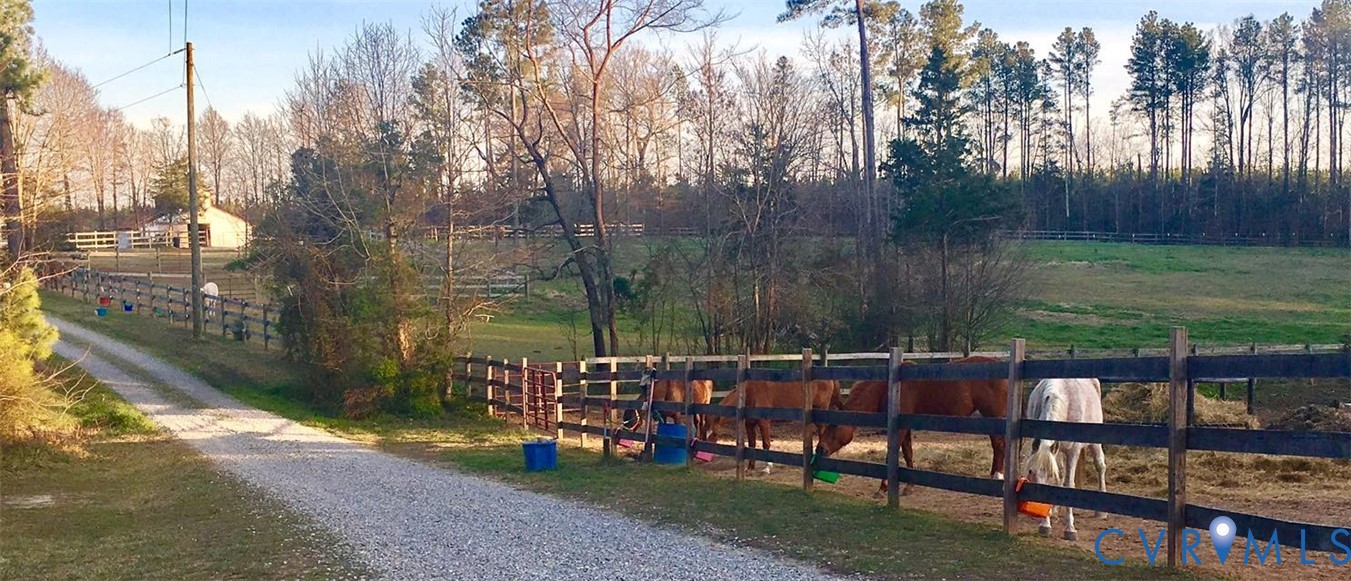 3151 Benchmark Trail Amelia Court House, VA 23002 - Photo 44 of 50 a view of a bench in a backyard