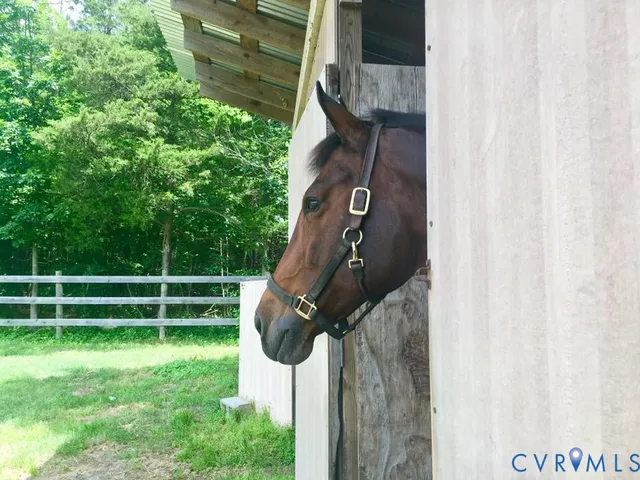 a view of a lake view