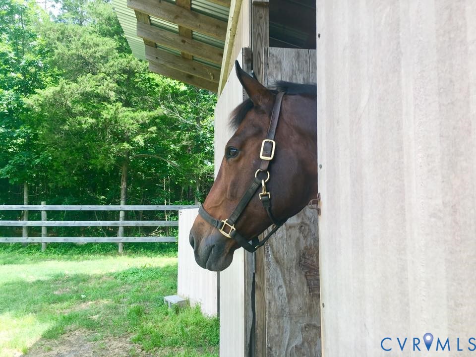 3151 Benchmark Trail Amelia Court House, VA 23002 - Photo 45 of 50