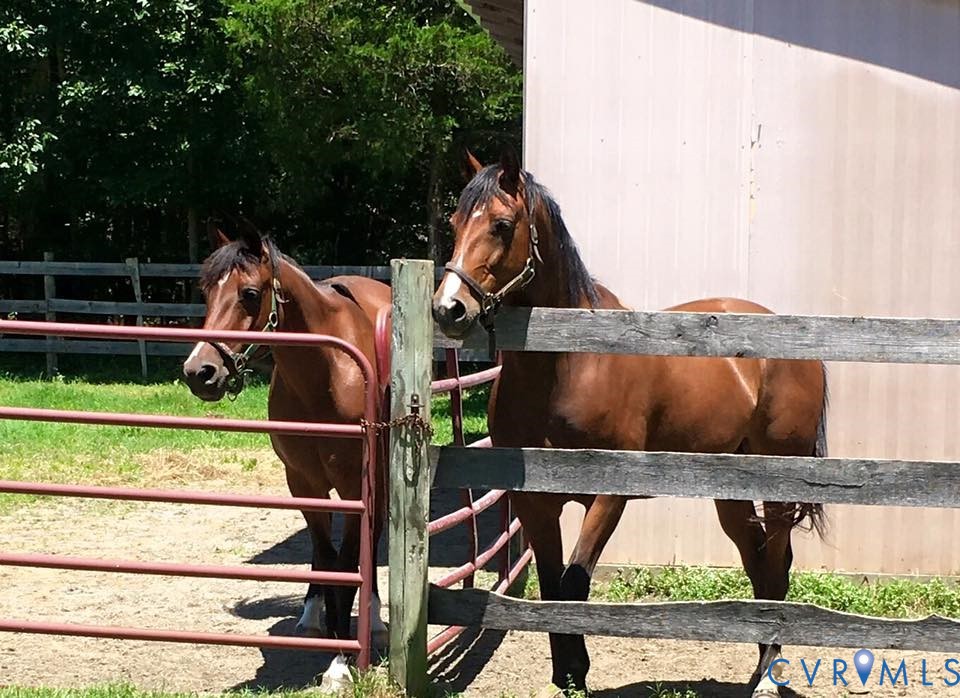 3151 Benchmark Trail Amelia Court House, VA 23002 - Photo 46 of 50 a view of outdoor space