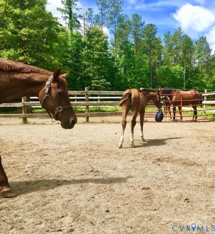 3151 Benchmark Trail Amelia Court House, VA 23002 - Photo 9 of 50 a view of outdoor space with seating
