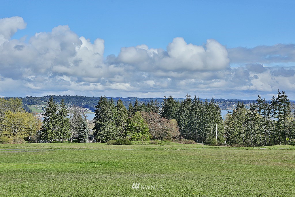 1835 Lancaster Road Freeland, WA 98249 - Photo 9 of 25 a view of a big yard of a house
