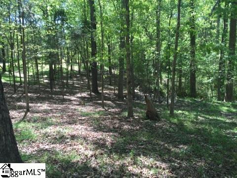 Tiffany Lane Fountain Inn, SC 29644 - Photo 1 of 10