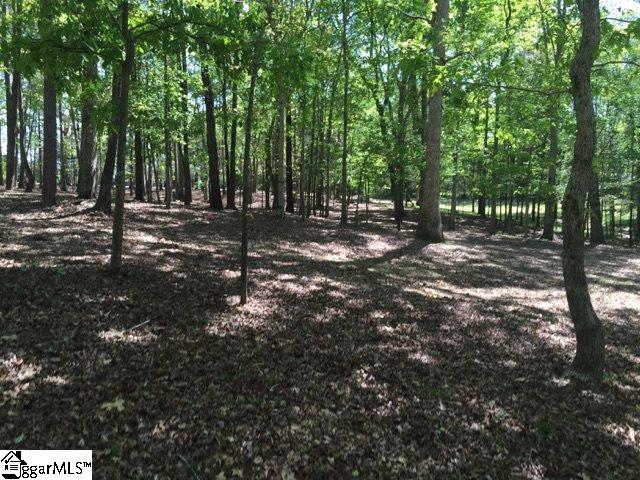 Tiffany Lane Fountain Inn, SC 29644 - Photo 2 of 10