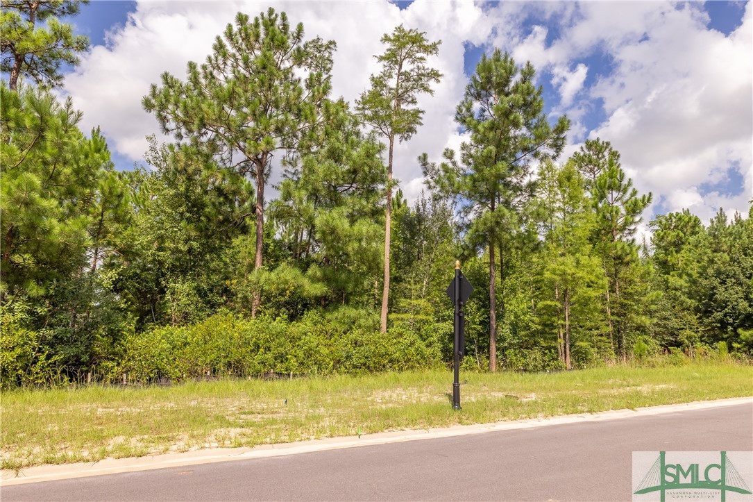 136 Greenhill Cl, Unit CLOSE Pooler, GA 31322 - Photo 1 of 3 Lot View from Street