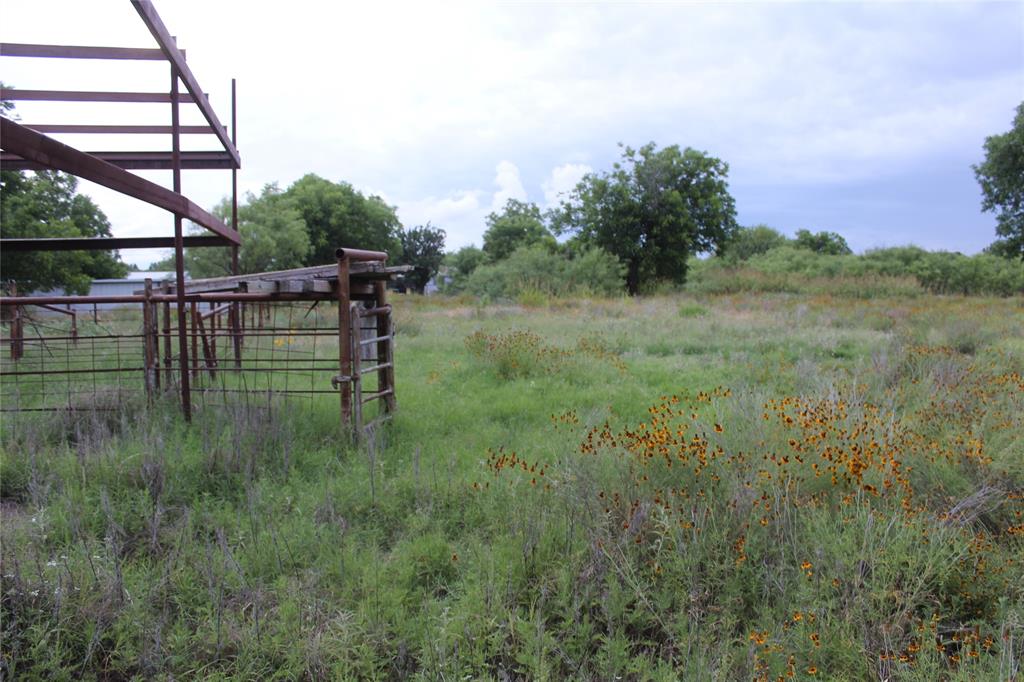 510 Hamby Road Clyde, TX 79510 - Photo 14 of 23 View of pasture with native plants and mature trees