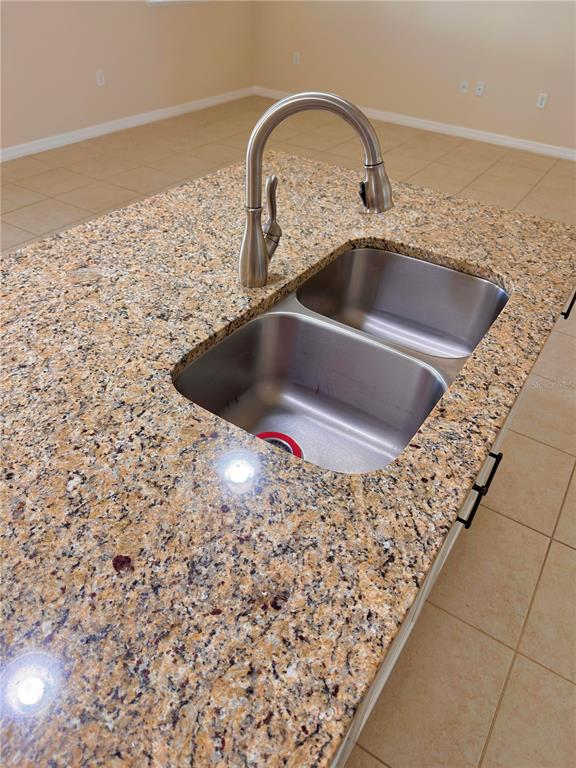 447 Pinecrest Loop Davenport, FL 33837 - Photo 8 of 23 a close view of sink