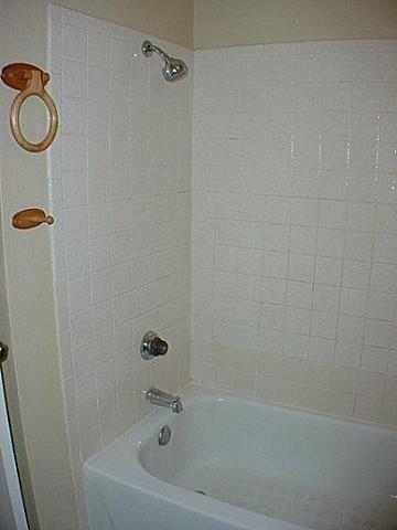 5630 Brookview Court, Unit C Sachse, TX 75048 - Photo 12 of 14 Tub with Shower!