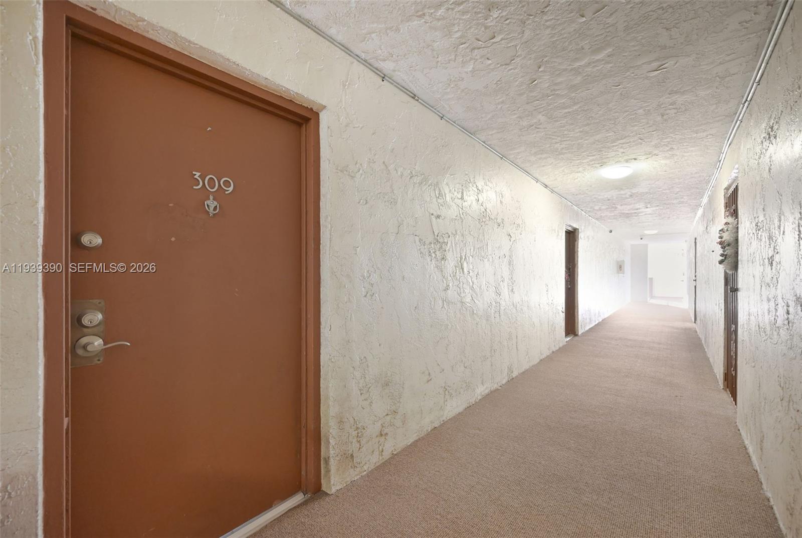 9441 Southwest 4th Street, Unit 309 Miami, FL 33174 - Photo 4 of 44 a view of hallway