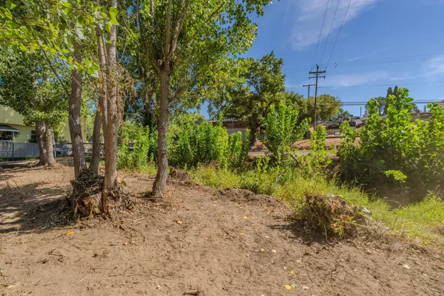 a view of a yard with plants and trees