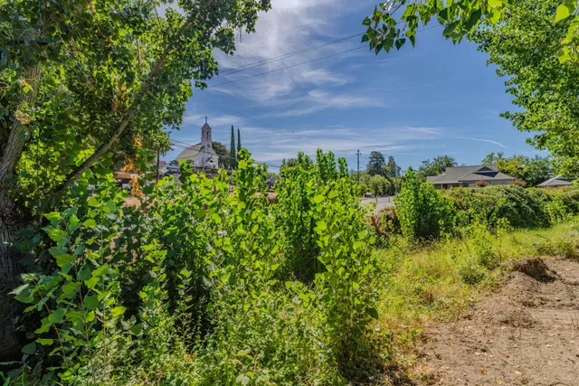 a view of a plants of a house