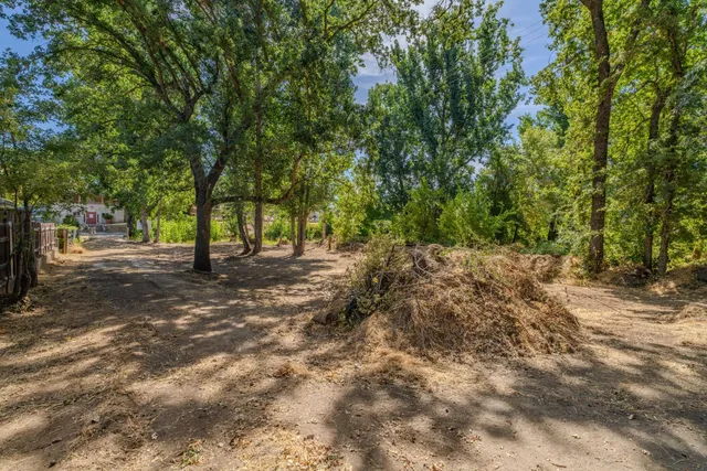a view of backyard with green space