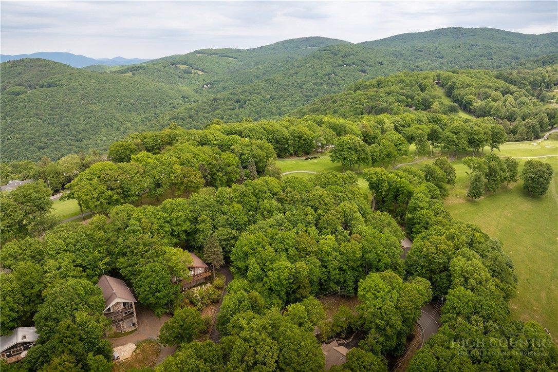 501 St Andrews Road Beech Mountain, NC 28604 - Photo 45 of 46