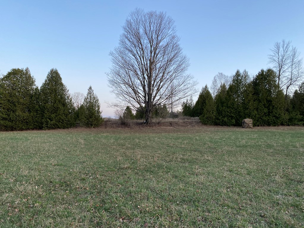 S Shiloh Road Algoma, WI 54201 - Photo 3 of 19