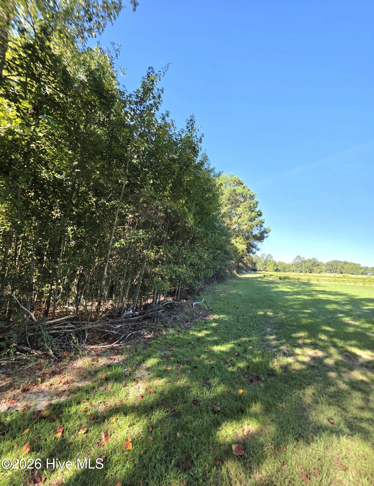 170 South River Road Autryville, NC 28318 - Photo 70 of 74 20260916_095908(1)