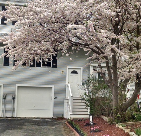45 Grammont Road Worcester, MA 01607 - Photo 1 of 13 Gallery Image 1