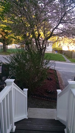 45 Grammont Road Worcester, MA 01607 - Photo 12 of 13 Gallery Image 12